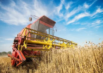 agricultura, setor, produtivo, setor, agrícola;