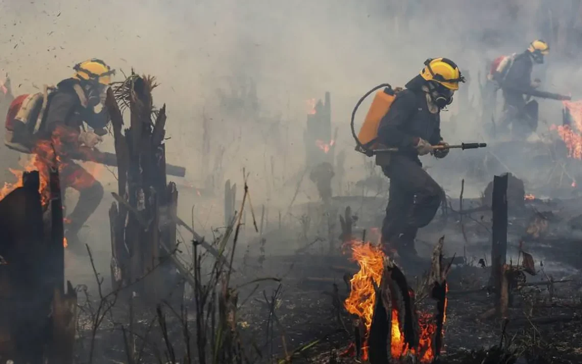 contaminação, poluição do ar, poluição ambiental;