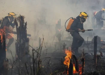 contaminação, poluição do ar, poluição ambiental;