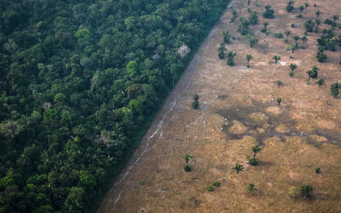 crimes contra o meio ambiente, crimes contra a natureza, crimes ecológicos;