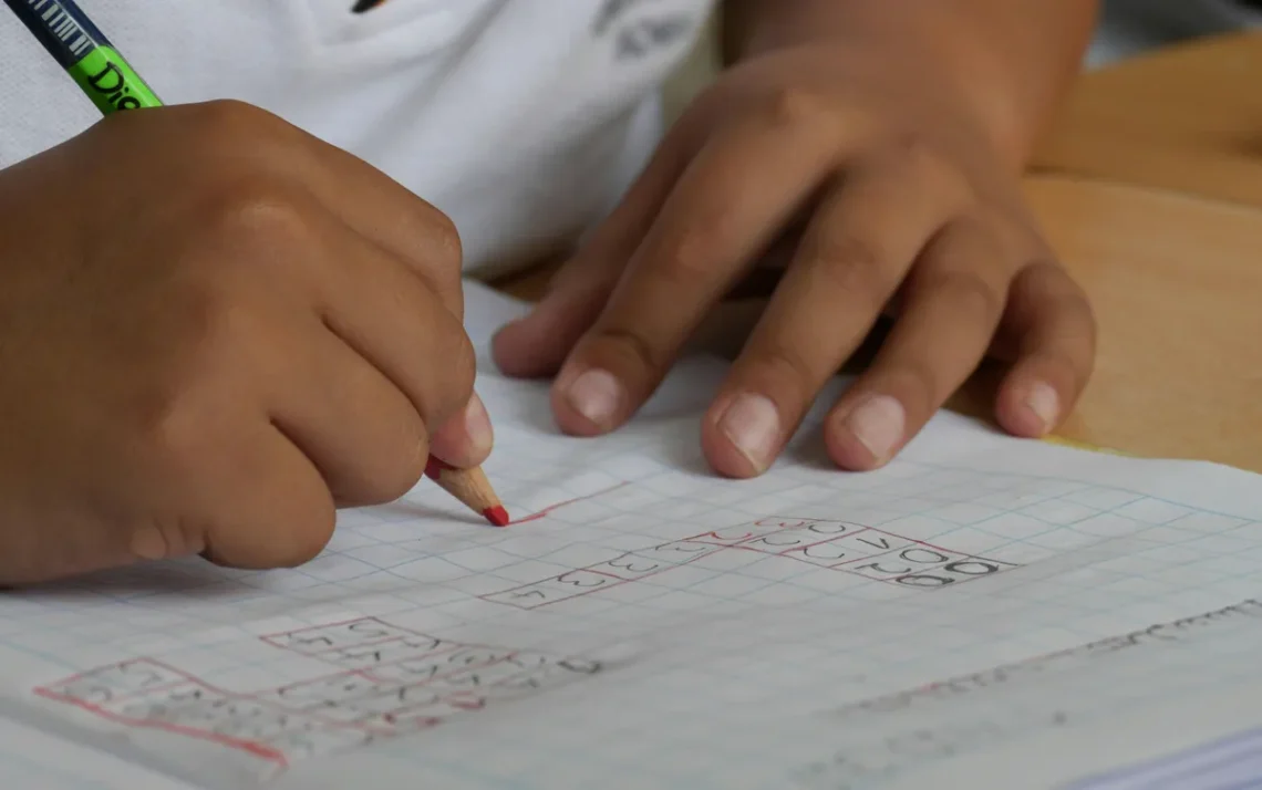 ensino, aprendizado, instrução;