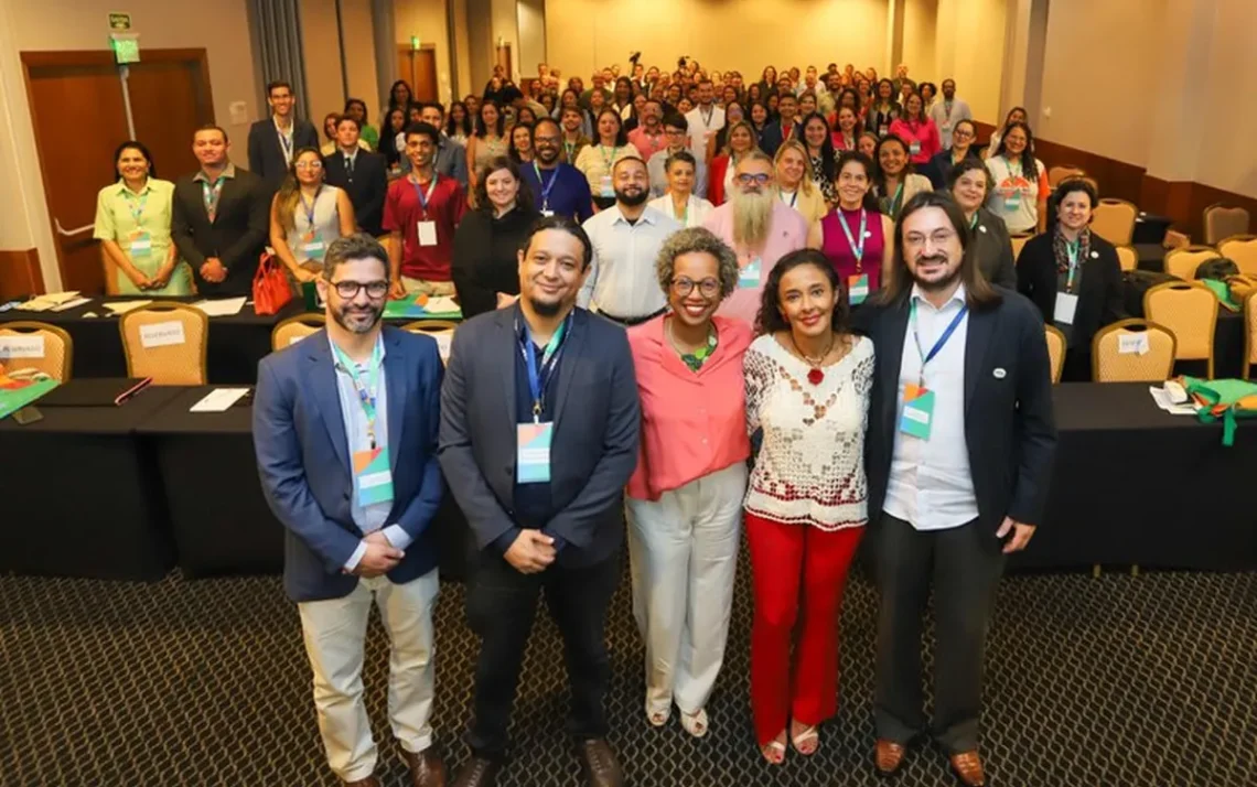 Educação Básica, Ensino Fundamental, Ensino Secundário;