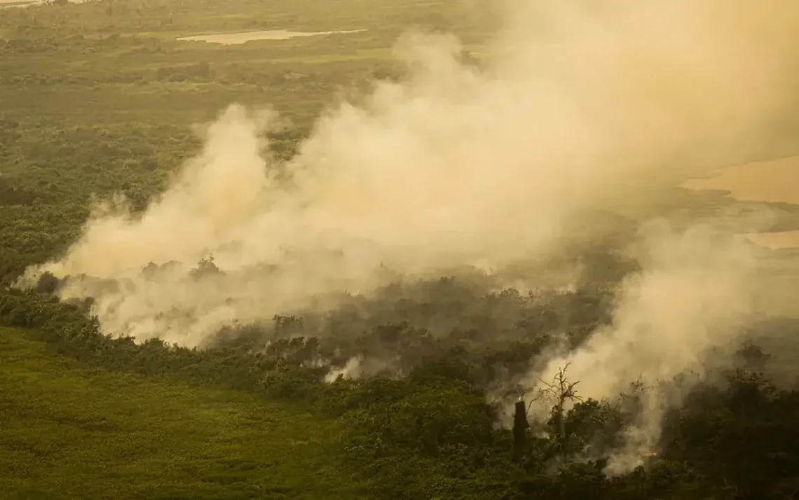 preservação ambiental, conservação ambiental, defesa ambiental;